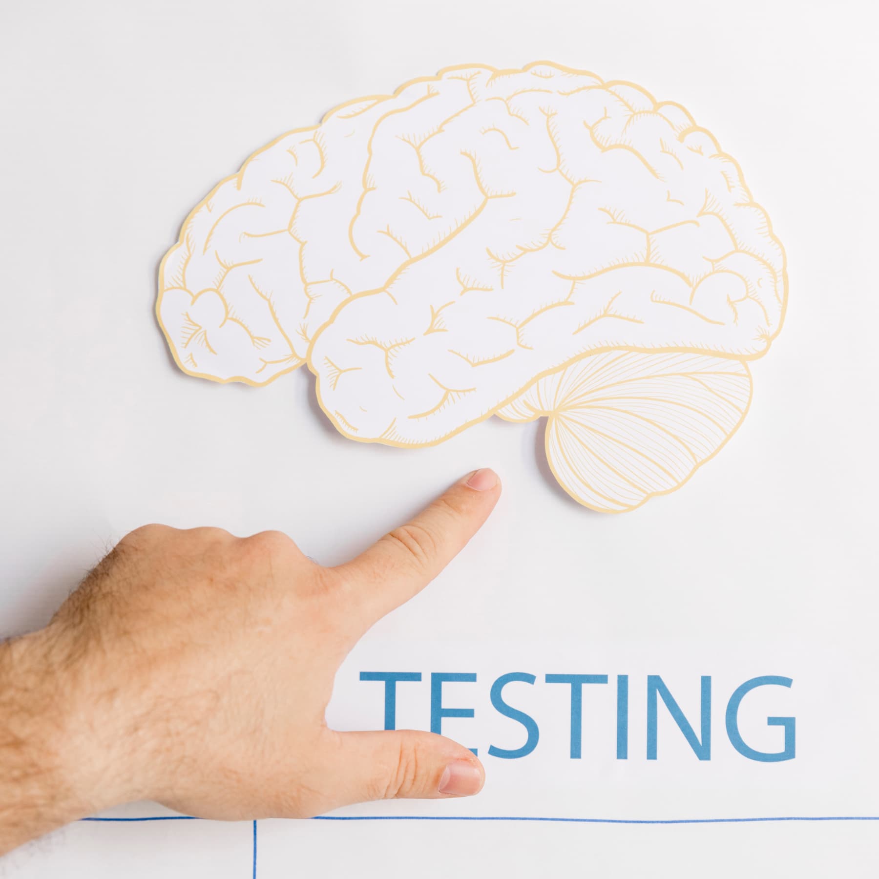 tests psycotechniques pour le permis